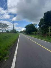 Land for Sale in San Lorenzo - 0 bedrooms