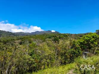 Scenic hillside with forested area under clear blue sky in Montana Verde Jaramillo Boquete
