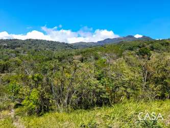 Paved access road leading toward lush hillside of Montana Verde community in Boquete Panama