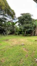 Large fenced backyard with green lawn and tall trees affordable rural house Guararé Los Santos Panama