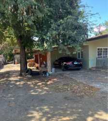 One-story house with carport, shaded yard, mature tree, beige facade Guararé Los Santos Panama