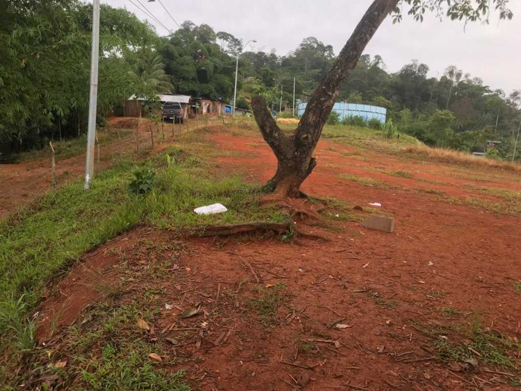Vacant green plot with patches of red soil, trees, street lighting, partial structures in Bocas del Toro