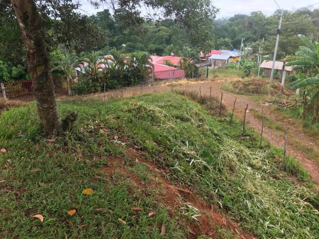 Grassy rural hillside with dirt road, fencing, trees, village homes in background Bocas del Toro