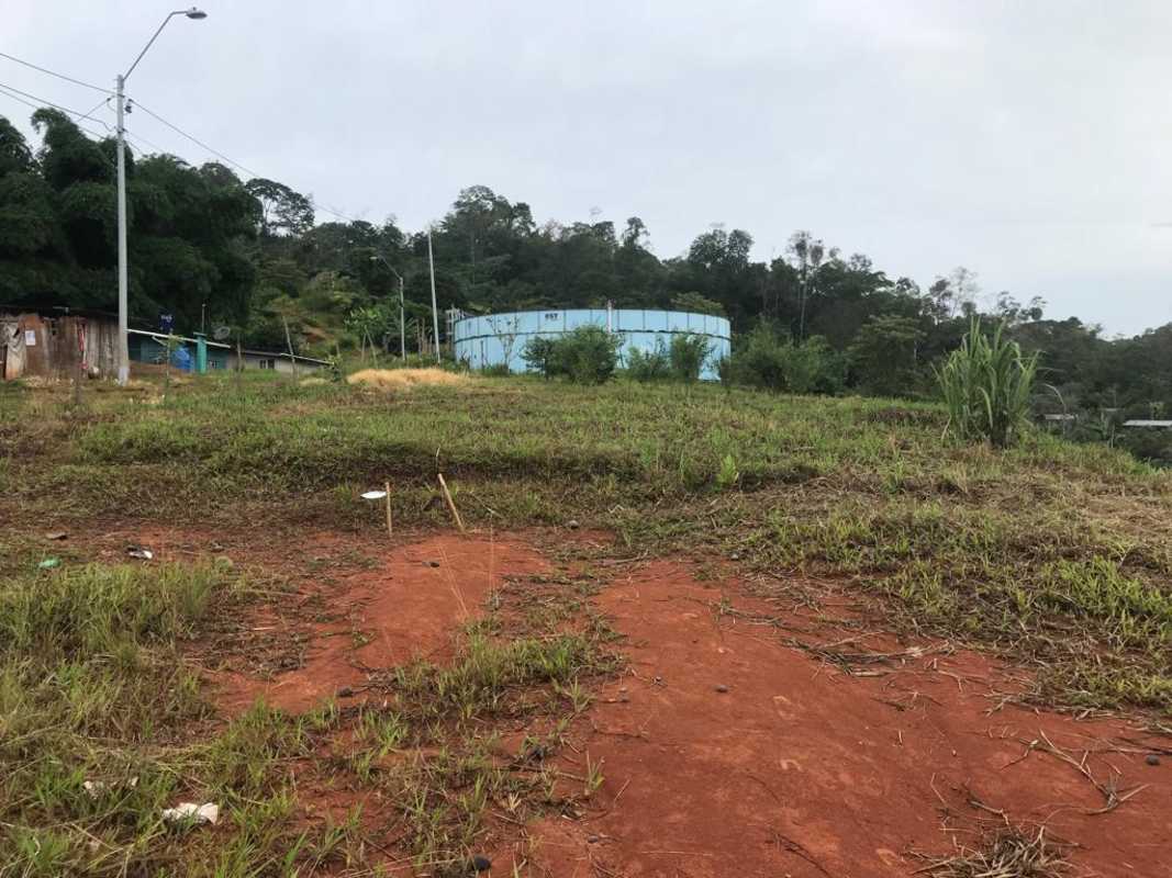 Large plot with central tree, wire fence, power lines, red soil, natural lush surroundings Changuinola Panama