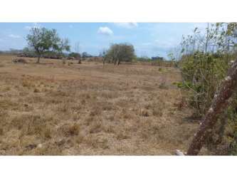 Vacant flat development ready commercial lot next to major road Penonomé Panama