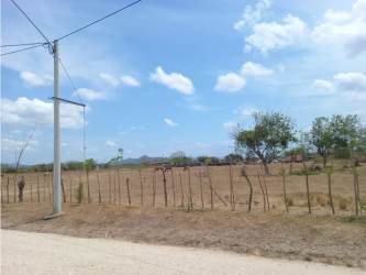Open flat commercial land plot with trees and blue sky Penonomé Coclé province Panama