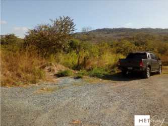 Survey professional working on undeveloped farmland with brush vegetation Arenas Rio Grande Coclé