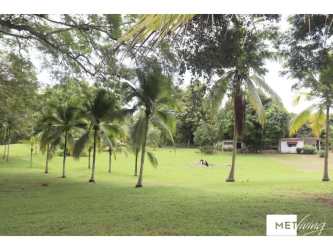 Coastal ocean views with palm trees and lush lawns at Las Guias beachfront estate Panama