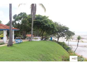 Expansive tropical garden with palm trees and lawn at Las Guias beachfront estate Panama