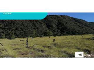 Land for agriculture for Sale in Bugaba - 0 bedrooms