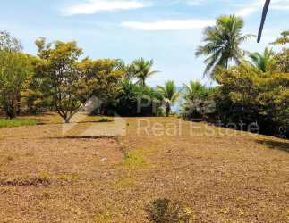 Open cleared land with scattered trees and ocean view in Nuevo Chagres Colón