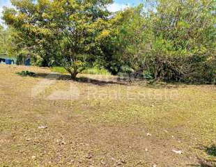 Land for Sale in Nuevo Chagres - 0 bedrooms