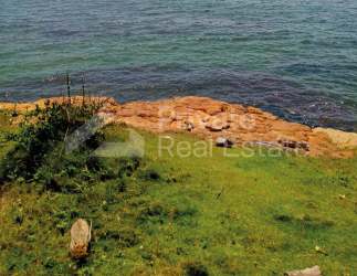 Thick tropical vegetation covering the seaside land plot near Chagres National Park in Panama