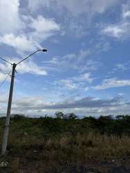 Natural landscape with trees on large Alto Boquete vacant lot ready for development