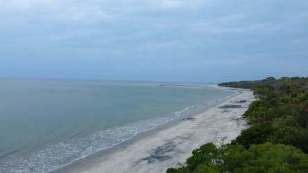 Aerial view of sandy beach and Pacific ocean near Piedras Gordas Village San Carlos Panama