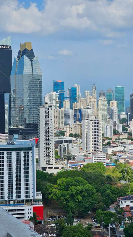 Modern skyline featuring Bella Vista and green areas in Panama City