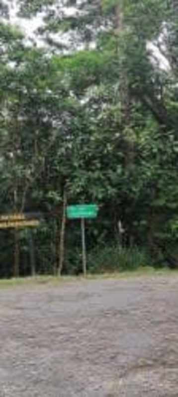 Forested lot with gravel road frontage at Altos de Cerro Azul Pedregal Panama