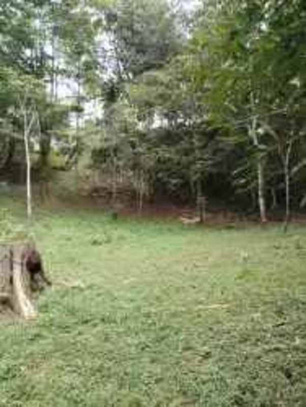 Open grassy space and dense forest edge on mountain lot Altos de Cerro Azul Panama