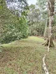 Land for Sale in Cerro Azul - 0 bedrooms