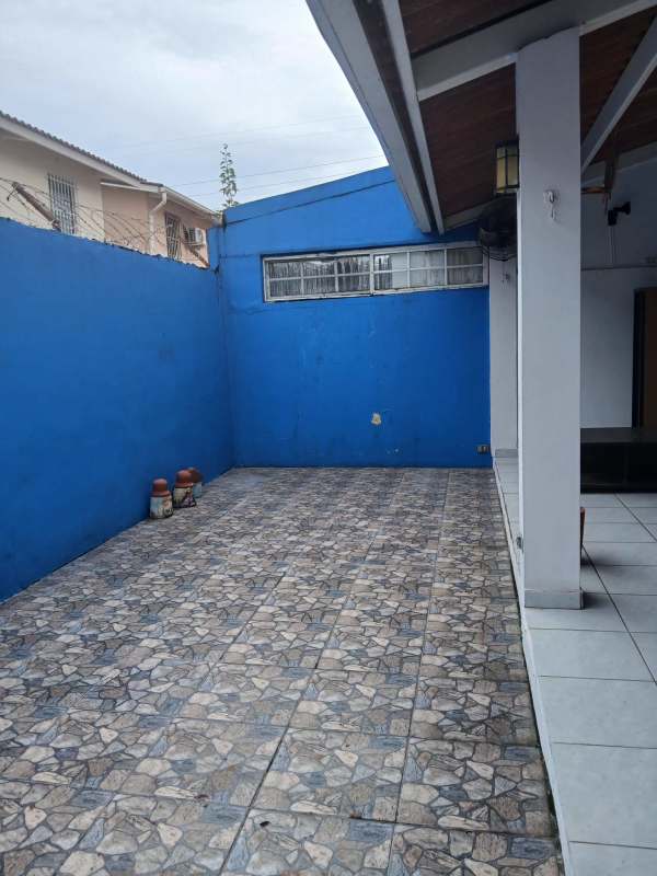Small private patio with blue wall tiled flooring pots Condado del Rey Panama house