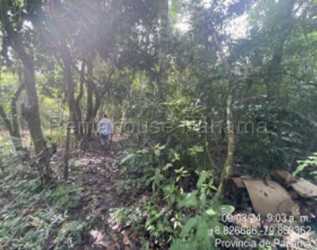 12,000m2 La Chorrera land showing natural vegetation with flat topography suited for construction