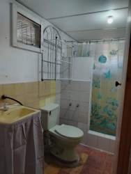 Compact bathroom with yellow sink, floral shower curtain, toilet and tiled walls in Veraguas rental