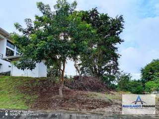 Residential Land for Sale in San Carlitos - 0 bedrooms