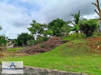 Sloping residential lot with mature trees next to modern home in San Carlitos David Chiriquí