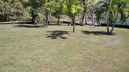 Large fenced yard mature tropical landscaping outdoor space Nueva Gorgona house