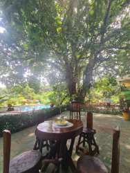 Thermal pool with sun loungers and greenery at apartment complex El Valle Coclé Panama