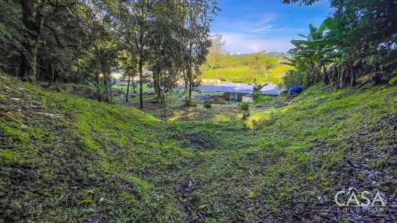 Lush open land with forest edges mountain backdrop premium plot Volcán Panama