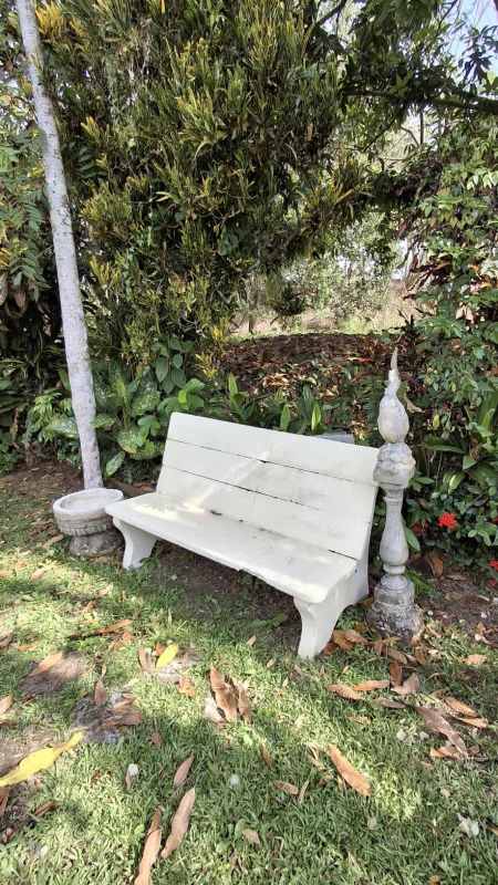 Rustic white bench surrounded by dense tropical plantings on oversized Panama property Las Cumbres