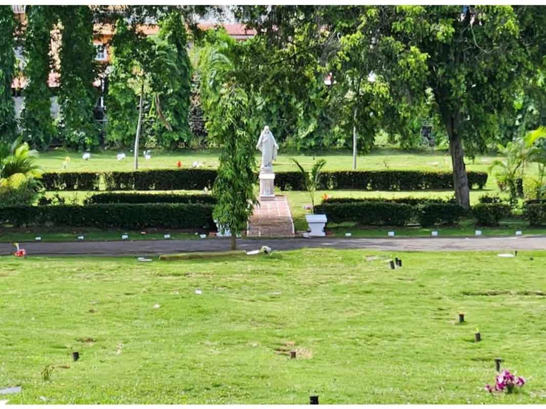 Brick walkway with statue surrounded by green palm trees, hedges and apartments beyond Jardín de Paz Panama