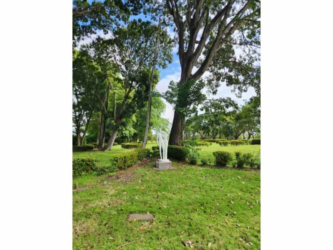 Well-kept grassy plot beside paved walkway, surrounded by hedges, statue on pedestal at Jardín de Paz Panama City