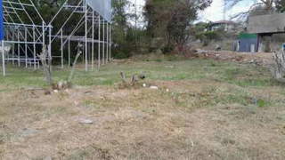 Land for Sale in Chame - 0 bedrooms