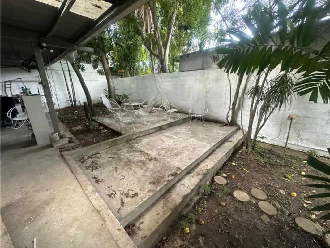 Lush tropical garden around traditional house in Coco del Mar Panama