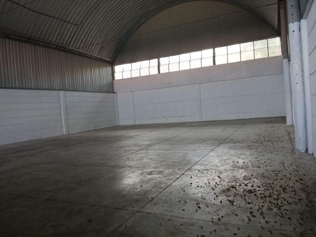 Warehouse high ceiling windows and open industrial floor Villa Zaita