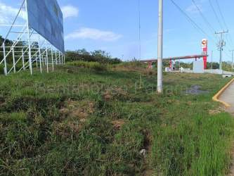 Open lot with grass and some natural vegetation beside Panamerican Highway perfect for commercial use