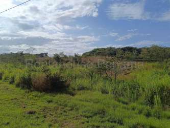 Flat open land plot ready for development Aguadulce Panama