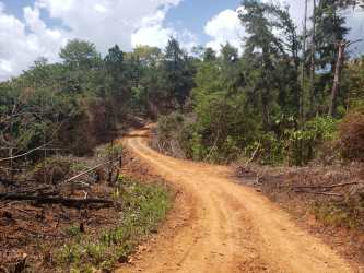 Land for Sale Buena Vista Colón Mountain/Lake Views in Buena - View 7