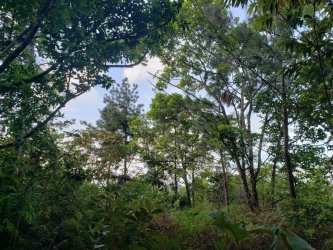 Land for Sale Buena Vista Colón Mountain/Lake Views in Buena - View 9