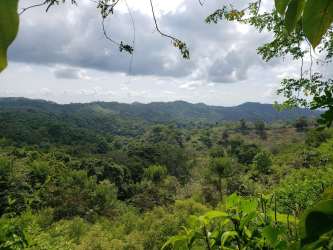 Land for Sale Buena Vista Colón Mountain/Lake Views in Buena - View 8