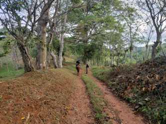 Land for Sale Buena Vista Colón Mountain/Lake Views in Buena - View 5