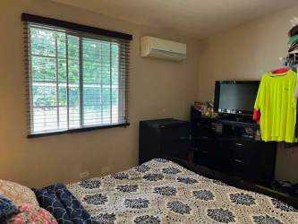 Tropical patio with hammocks lush fenced garden beach house Las Lajas Panama