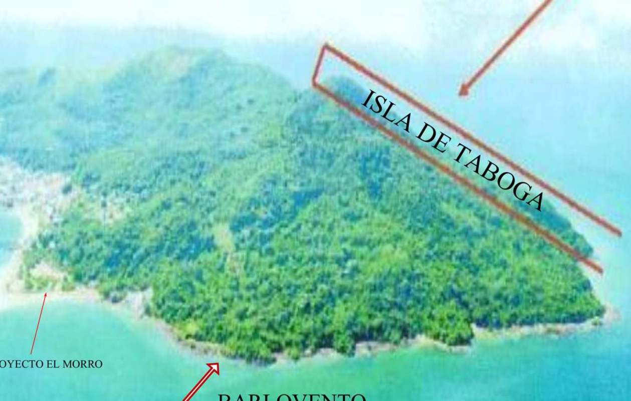 Lush green island land with ocean shoreline Isla Taboga Panama ideal investment spot
