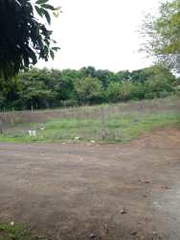 Land for Sale in Las Tablas Abajo - 0 bedrooms
