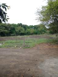Fenced countryside land plot with natural vegetation for sale in Tonosi, Los Santos Panama
