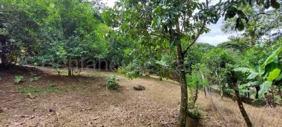 Large mountain lot with lush tropical trees and mountain views Chicá Panama