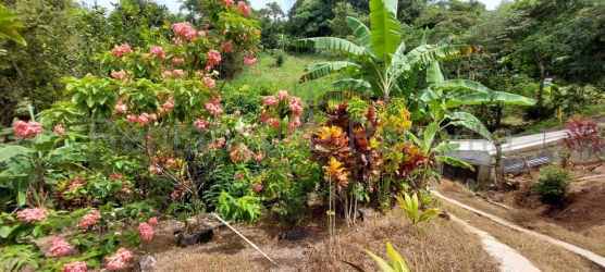 Rustic unfinished interior with potential, open space mountain house chicá panama