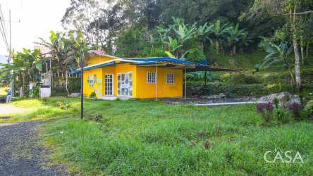 Yellow single-story home with lush garden and metal roof on Volcán development land